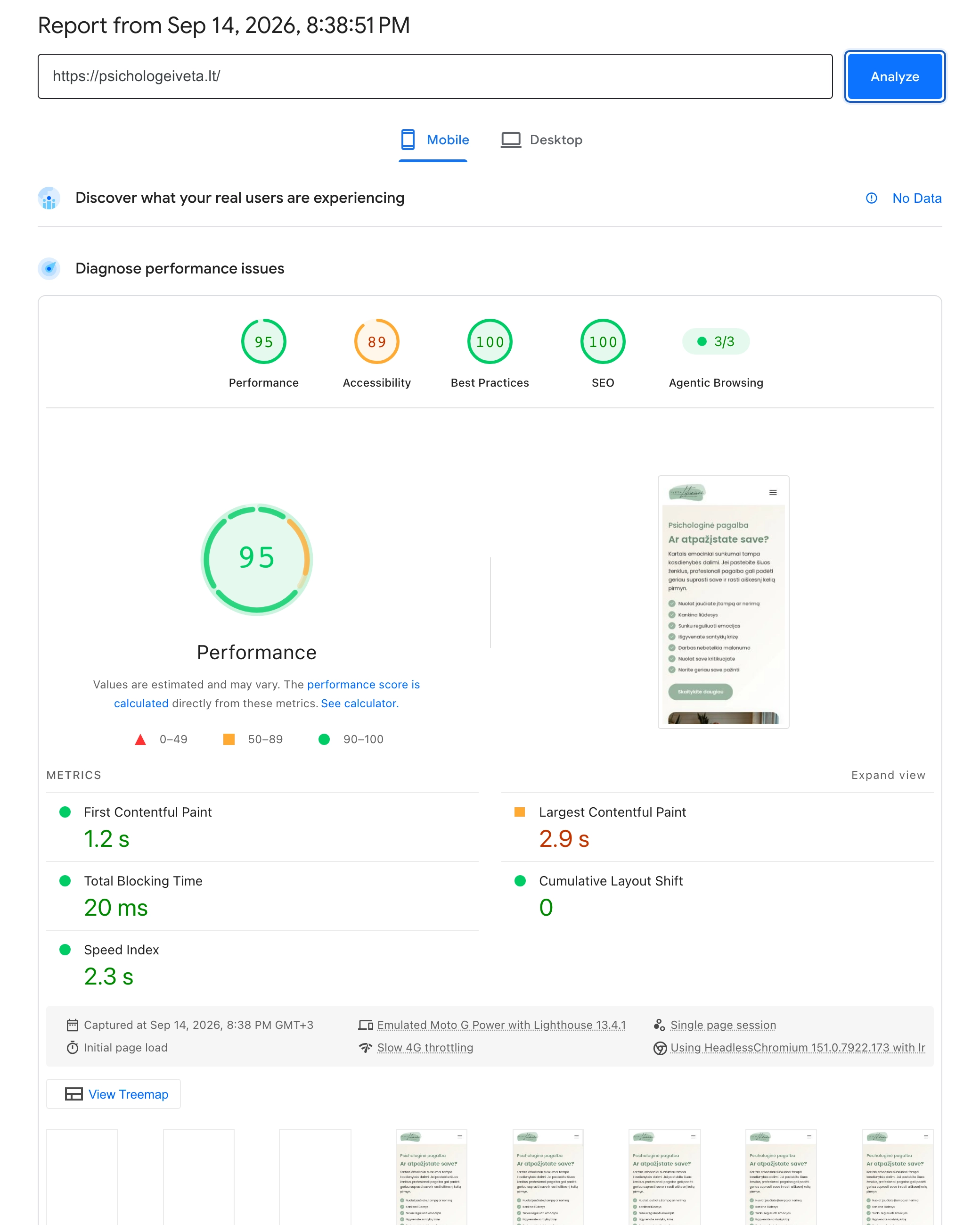 Google PageSpeed Insights telefono režimo ataskaita: psichologeiveta.lt, našumas 95, LCP 2,9 sekundės